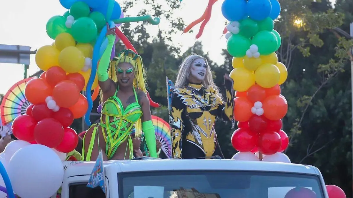 comunidad LGBT marcha orgullo pride  (3)